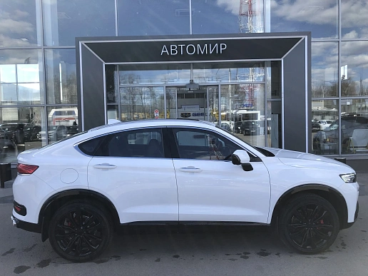 Купить Ньюстар 001 2024г.