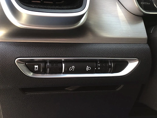 Купить Джили Кулрай 2020г.