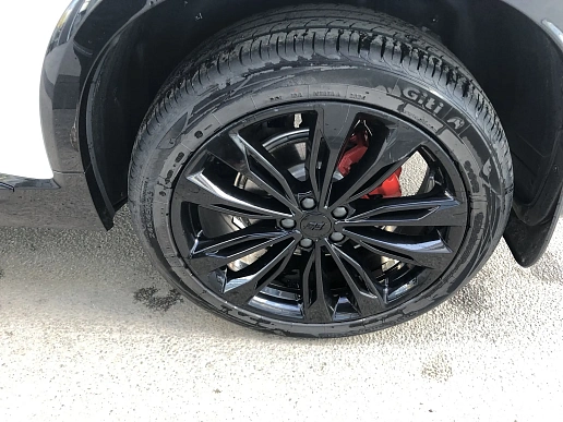 Купить Ньюстар 001 2024г.